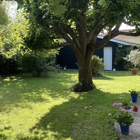 Villa Idéalement Situé - Superbe Jardin - 200m