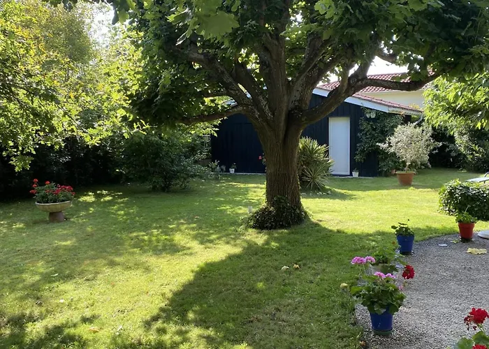 Villa Idealement Situe - Superbe Jardin - 200m